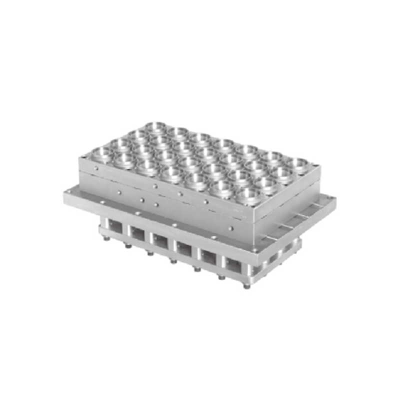 Termoformande plastkoppar/plattor/behållare/lådor/lock mögel